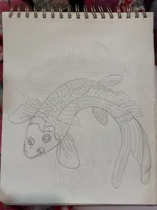 Koi drawing