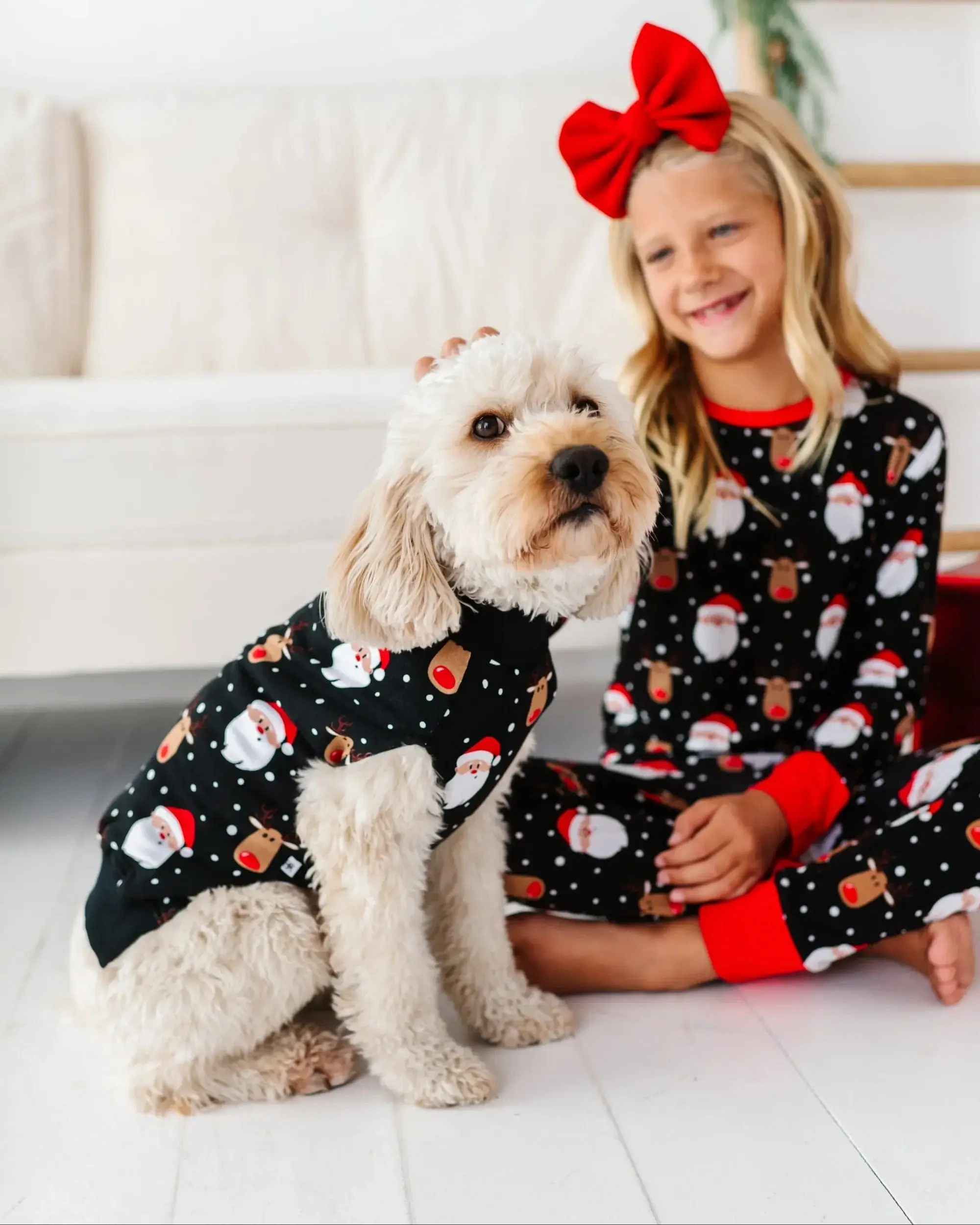 Snow Ho Ho Dog Sweater
