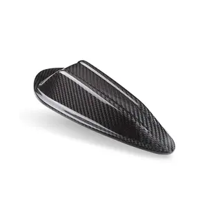 Dry Carbon Fiber Antenna | G20