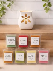 Home Fragance Kit Burner+7 wax melts