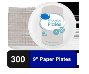 Uncoated 9-Inch Paper Plates, 300 Count