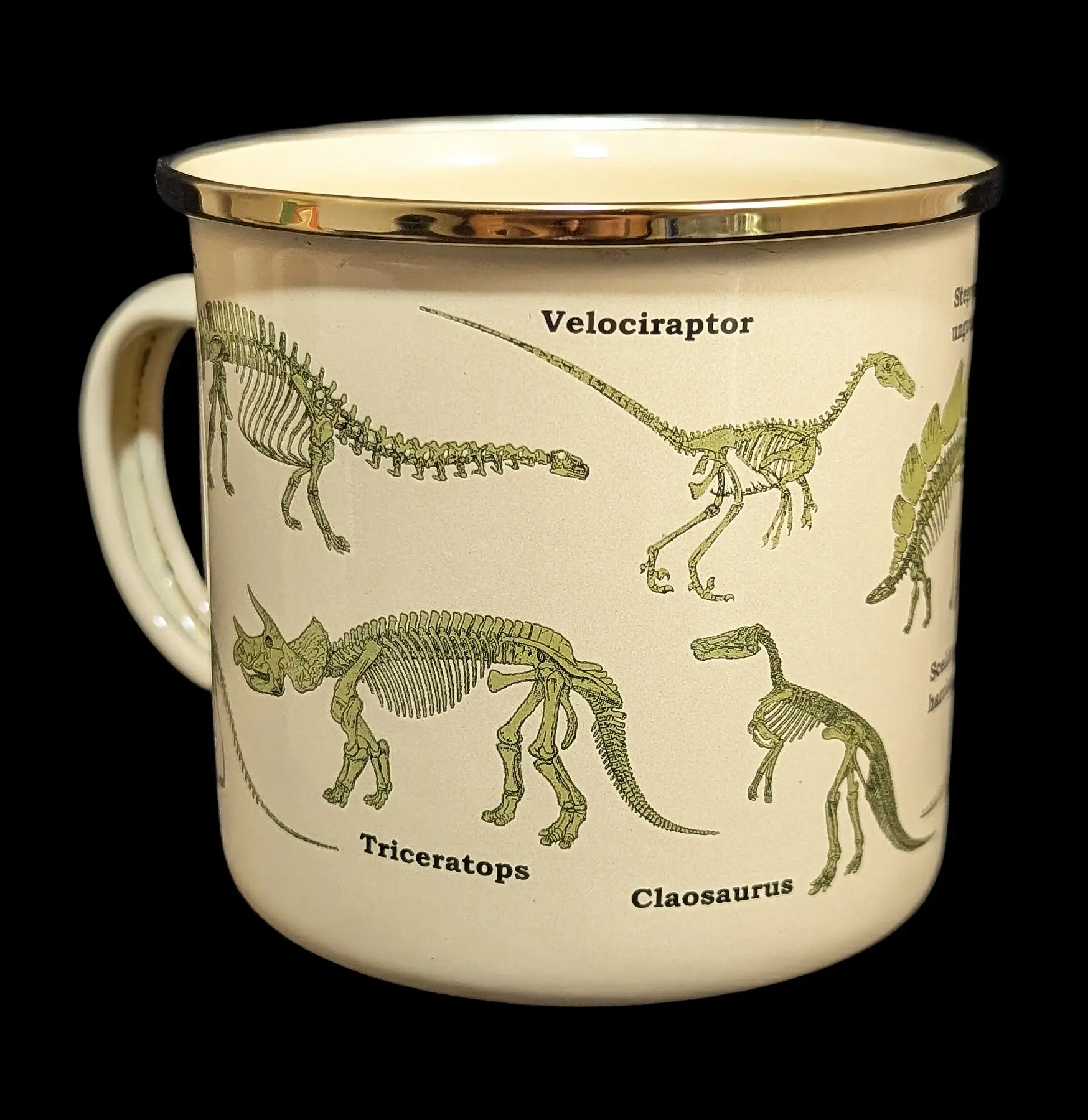 Enamel Dinosaurum Ecologie Mug