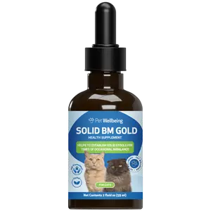 Pet Wellbeing Solid BM Gold for Cats - Supports Healthy Digestive Function, Solid Stools, Normal Bowel Movements, Bayberry, Oregon Grape - Veterinarian-Formulated Herbal Supplement