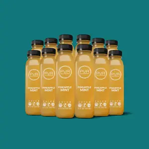Pineapple Mint Daily Juice Kit – Cold-Pressed Refreshment & Nutrition Beverage Natural Vitamin Drink