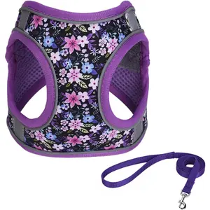 Step in Dog Harness No Pull Flower Adjustable Soft Mesh Padded Reflective Pet Vest Harness and Leash Set for Small Medium Dogs