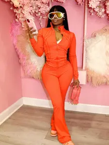 Women's Casual Sporty Two-Piece Set, Long Sleeve Zipper Design, Regular Fit, Fall & Winter, Fashionable Women's Clothing, Sweatsuit Outfits