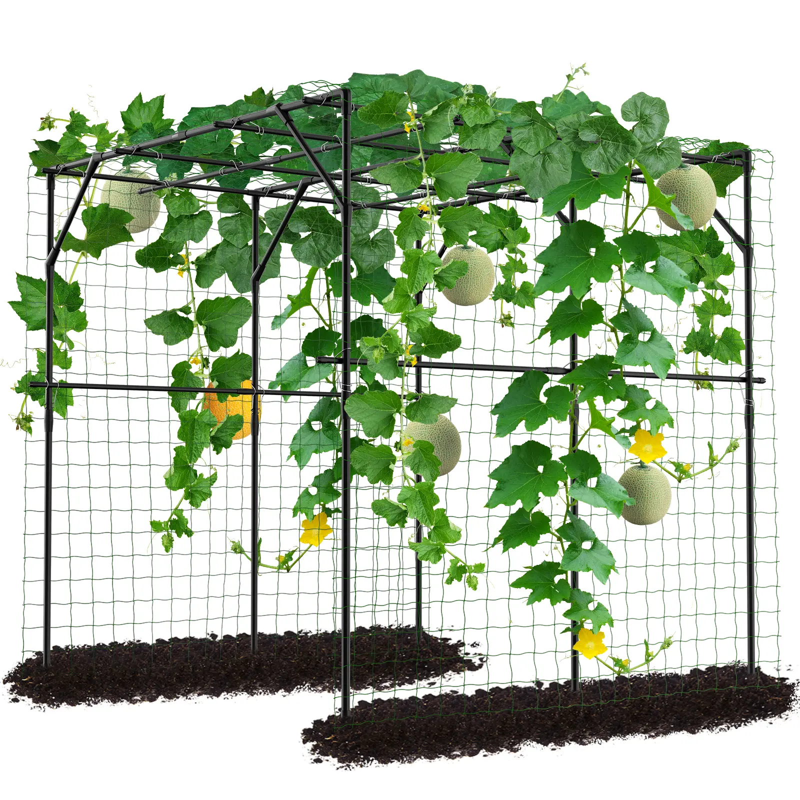 Arch Trellis -78.7"H x 78.7"L x 78.7"W
