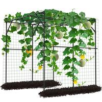Arch Trellis -78.7"H x 78.7"L x 78.7"W