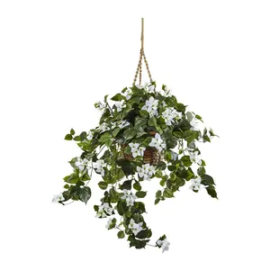 Bougainvillea Hanging Basket
