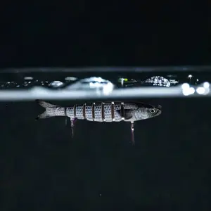 Slow Sinking Swimbaits | Motion Minnow