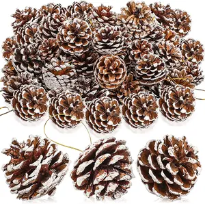 18 Pieces Pine Cones for Christmas Tree White Christmas Pine Cones Ornaments Pine Cones Decorations Frosted Mini Pine Cones Xmas Pinecones with String Pendant Crafts for Farmhouse Winter Party Casewin