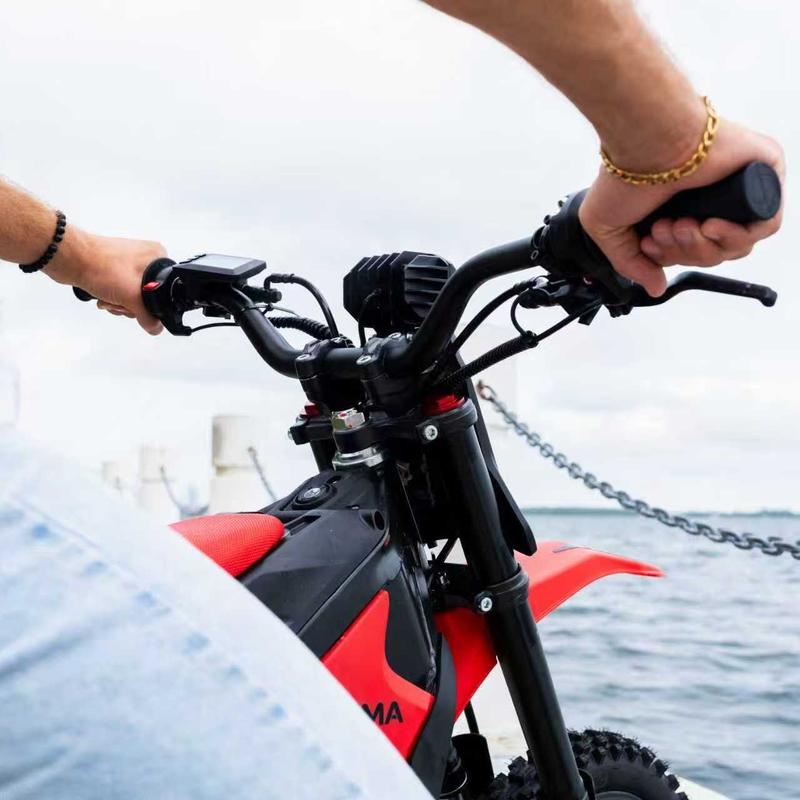 Yozma IN 10 Electric Bike 2600W Power 48V 23.4Ah Lithium-ion Battery 53 Miles Rang For Teens & Adults e bike