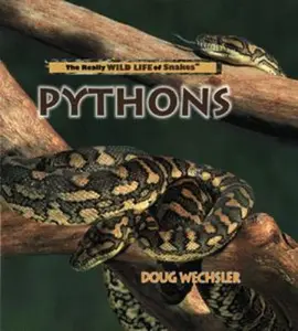 USED-Pythons (The Really Wild Life of Snakes) by Doug Wechsler (Unknown)