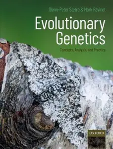 USED-Evolutionary Genetics: Concepts, Analysis, and Practice by Saetre, Glenn-Peter (Hardcover)