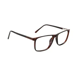 RA219A-2 | Men | Shiny Brown | CP Glasses