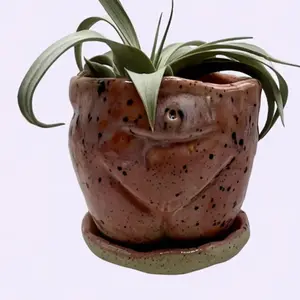 Hand-built Yellow and Pink Blooming Glaze Pinch Pot for Small Plants