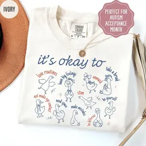 Autism Teacher Shirt, Inclusion SPED Team Tee, Silly Goose Special Education Teacher Gift, Autism Acceptance Classroom Shirt, It's Okay To