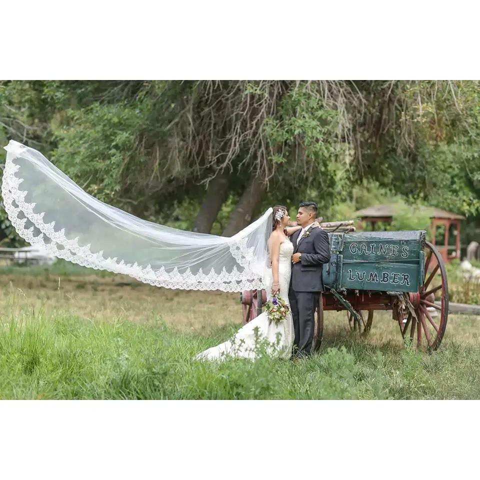 Royal Length Drop Veil with French Lace Trim & Blusher, Off White/ Ivory Lace Wedding Veil
