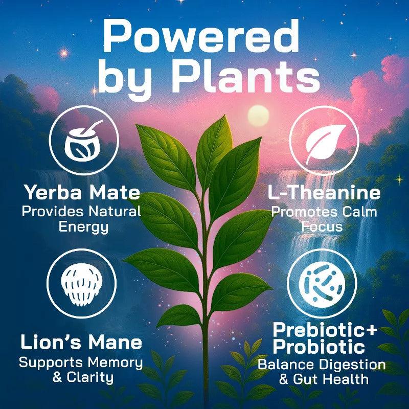 Yerba Magic Pink Potion - 10 Stick Pack | Instant Yerba Mate Tea