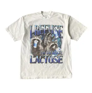 I Refuse To Tolerate Lactose Vintage Graphic Tee, Retro Funny Raccoon Lactose T-Shirt, Funny 90s Tee, Relaxed Soft Cotton Shirt, Milk Joke Shirts