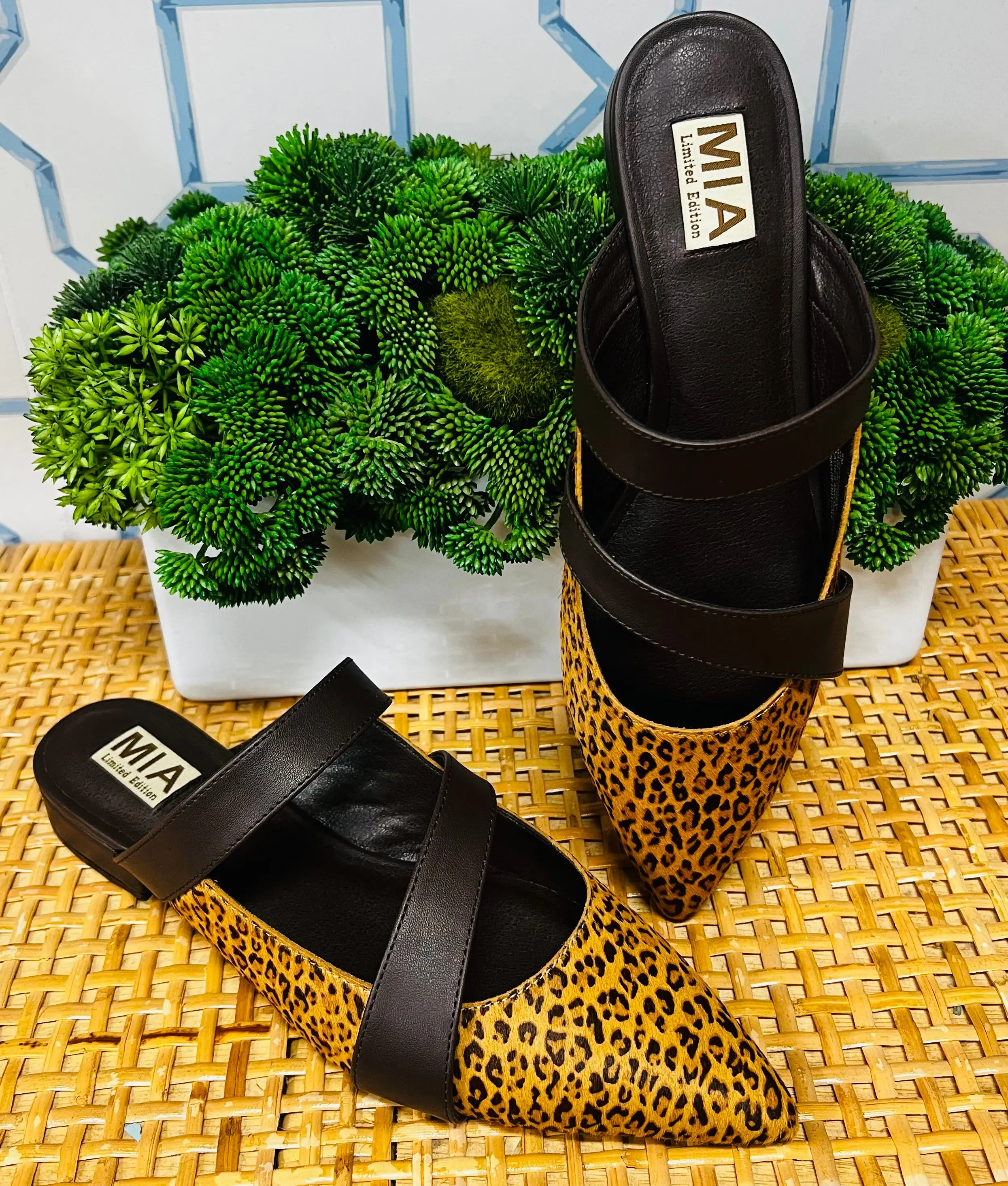 The Abie Flats in Cheetah