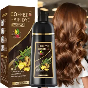 2pcs 500ml Black Hair Dye Shampoo - Moisturizing, Hydrating Herbal Formula, Long-Lasting Quick Hair Color Softening Shampoo for All Hair Types, Unisex, Natural Ingredients, Hair Colouring Long Lasting, Haircare