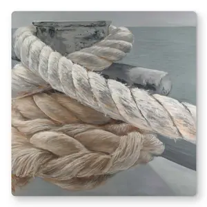 Begin Home Decor C1MP1616WLEC80 16 x 16 in. Tie-Down Ropes Closeup Wall Art - Bedroom Boat Metal Print Decor