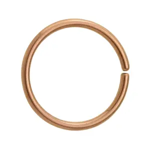 Rose Gold Niobium Seamless Ring