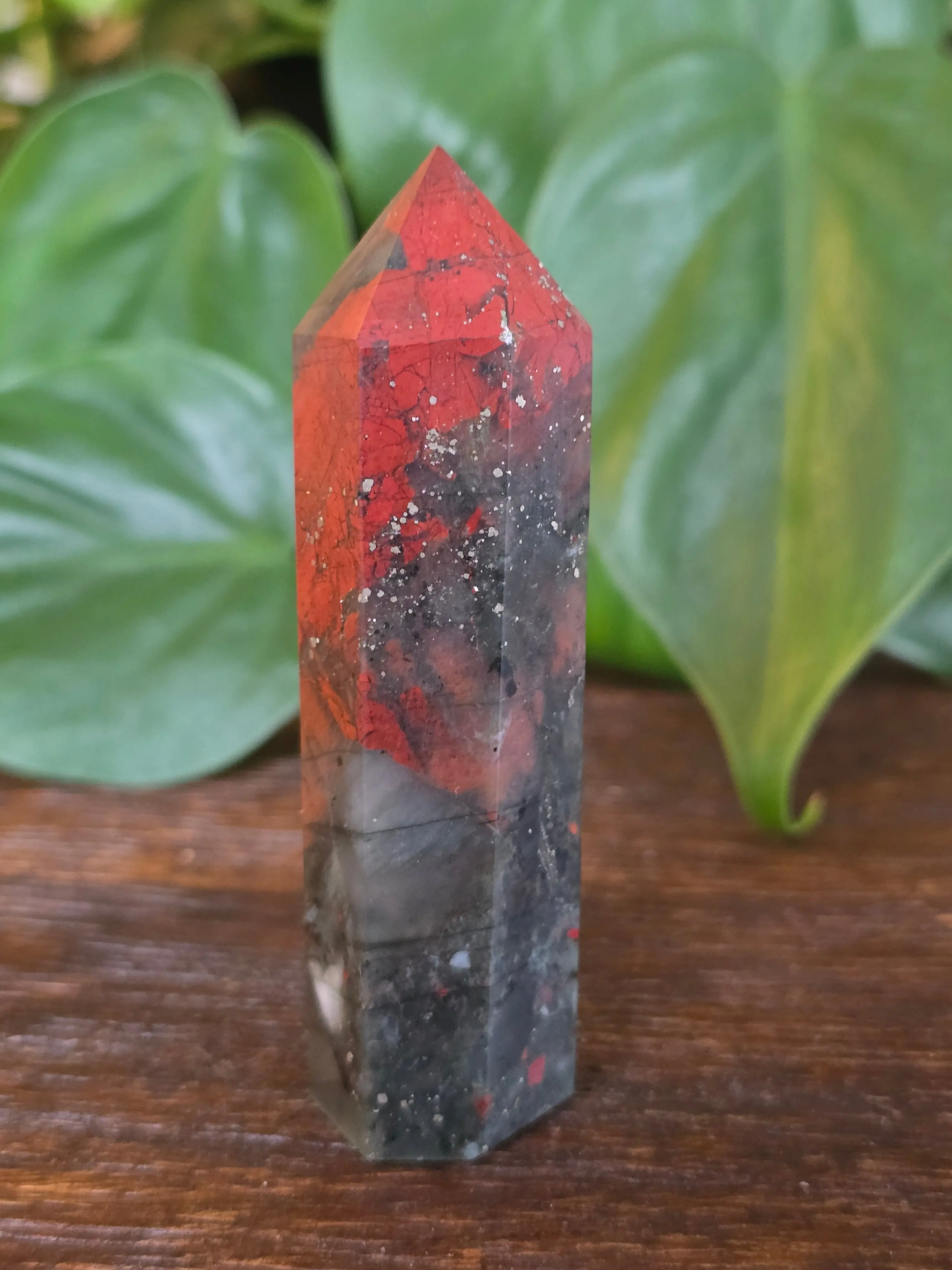 African Bloodstone Crystal Point "D"