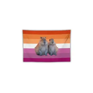 Personalized Photo Text Flag tapestry, Custom Lesbian Flag, Pink American Flag, Pride Flag Wall Hanging, Custom tapestry, Home Dorm Decor colorful decorativebedroom decor mens room decor