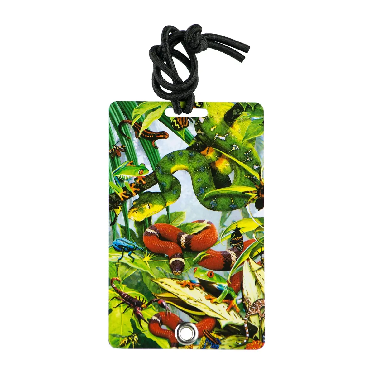 212 MAIN PVC Luggage Tag 2036 - Stylish Bag Accessory with Elastic Bungee, Hidden Info Slot, Rivet Fastener, Secure Closure for Backpacks, Pet Carriers