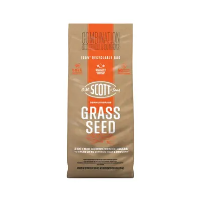 Lowes Best Grass Seeds - TikTok Shop