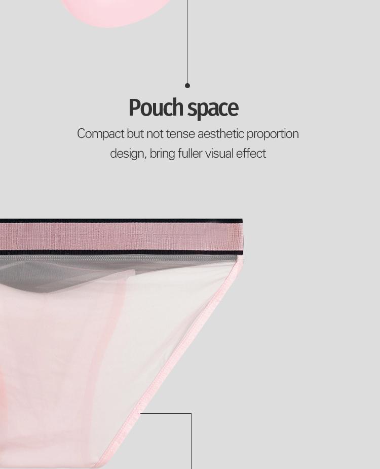 Men's Briefs Transparent Mesh Summer Ultra-thin Underpants High Cut Male Briefs Bikini Underwear Seamless Lingerie See Through Low Rise