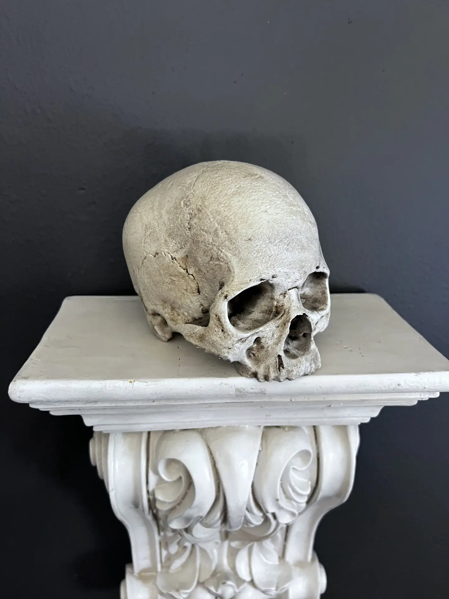 Realistic Detailed Human Skull Replica - Gothic Dark Academia Decor