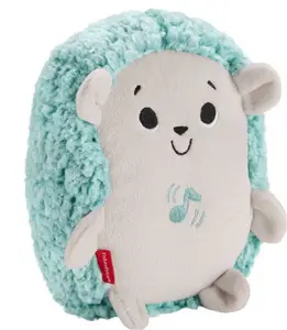 Hedgehog Teether, Calmante Vibes Educational Toy for Toddlers