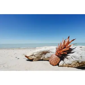Pineapple Driftwood - Premium Fragrance Oil