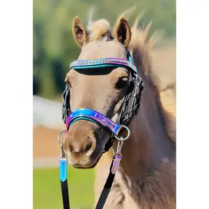 Holographic Side Pull Bridle & Reins Set (Mini to Horse Size)