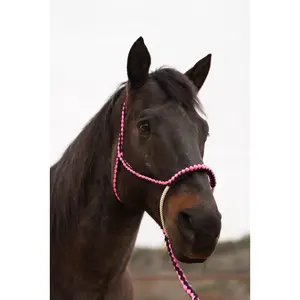 Pink and Black Lariat Noseband Mule Tape Halter