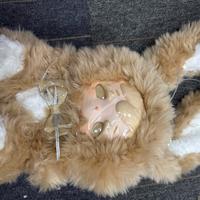 Brown Normal eye Confirmation payment