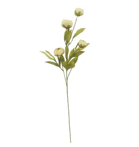Ashland Tan Peony Stem - 1 single stem