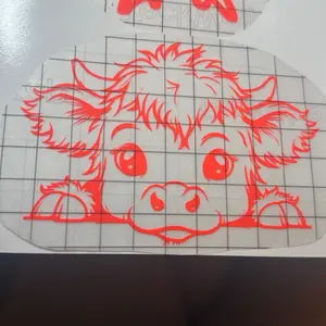 Cricut vinyl stickers