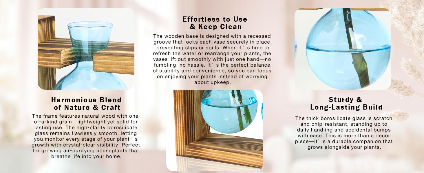 XXXFLOWER Colored Glass Plant Propagation Station 3 Bulb Desktop Flower Vase Stand Gift for Women Elegant Glass Material for Plant Lovers