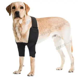 Dog Knee Brace & Leg Support: Adjustable Joint Protector for Injury Recovery & Leg Protection