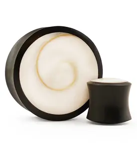 Spiral Sea Shell Inlay Wood Plugs
