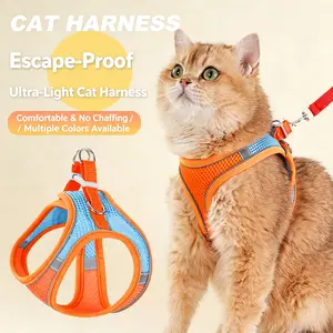 Spoiled Paws Adjustable Pet Safety Belt & Strap Set - Solid Lightweight Harness, Non-Customized Stainless Steel Martingale Collar, Breathable Mesh Accessory for Hiking/Light Outdoor, Everyday Use (1 Size, Machine Washable, Collars Included)
