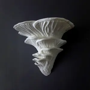 Djamor Fungus Mushroom Shelf designed by Gazzaladra with Cottagecore/Fairycore aesthetic Decor Shelves Nature Decorative Nature