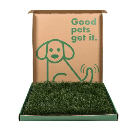 Fresh Patch Large Combo Pack Real Grass & Tray for Pets Up to 30 lbs Eco-Friendly Indoor Potty Training System