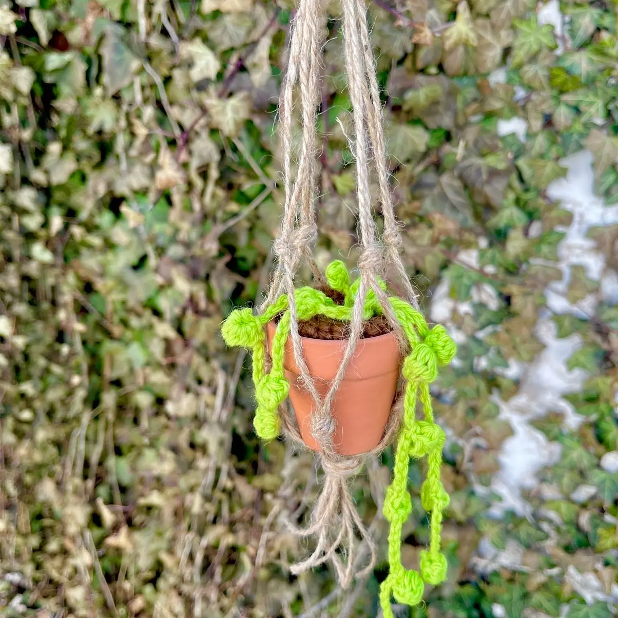 Crochet hanging succulent
