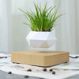 Magnetic Levitation Floating Plant Flower Pot Suspension Planter with Minimalist Geometric Design for Succulent with 200g Support as Modern Home Decor and Unique Gift Idea