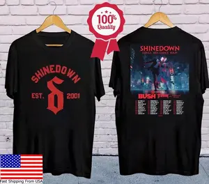 2025 Shinedown Dance Kid Dance Tour Shirt, Shinedown Band Logo T- Shirt